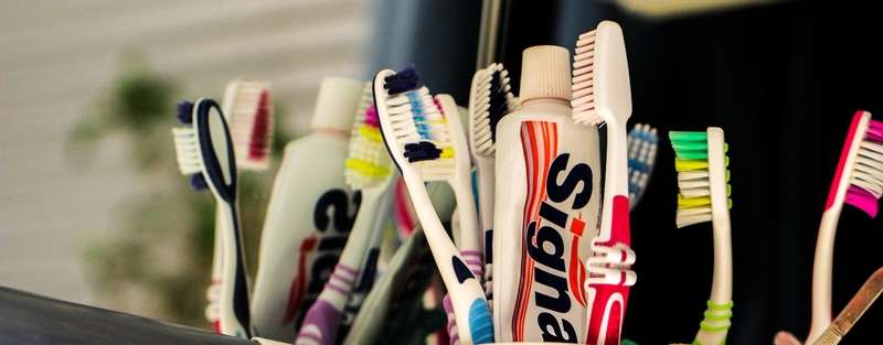 Toothbrushes in a cup