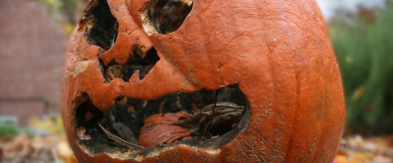 rotting jackolantern